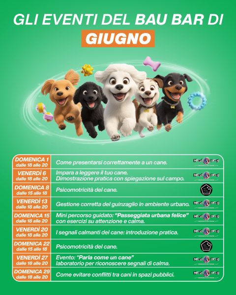 CAROSELLO Calendario Post 1080x13502
