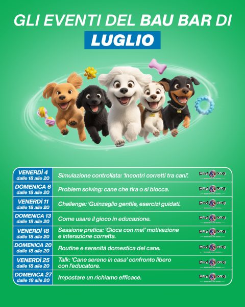 CAROSELLO Calendario Post 1080x13503
