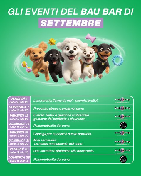 CAROSELLO Calendario Post 1080x13504