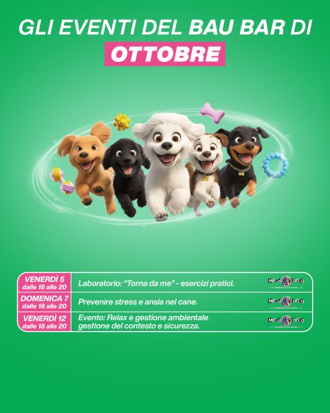 CAROSELLO Calendario Post 1080x13505